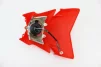 Пластик-обтекатель+фара, красный тип 3, ПІТБАЙК, YQ-327124 - 2