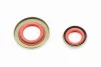 Сальники к-кт 2шт (12x20x5; 15x29,6x4) MS-260/360, металл, FIX-208770 - 2