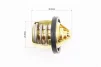 Термостат голый 250cc, FIX-313170 - 3