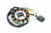 Статор магнето (генератора) (12 котушок "5 проводів") ADVANCE NB300-F, CB125-300, YQ-361155 - 2