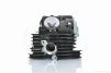 Головка циліндра 165FMM/166FMM CB200/CB250 D65.5, d27/31.5 у зборі "LIPAI" (чорна, TTR250), QT-031010 - 5