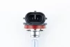 Лампа фары H11 12V 55W PGJ19-2 (галоген), ЛАМПИ, YQ-301673 - 2