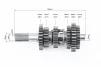 Коробка передач ZUBR (вторичный вал 165мм, два вала с шестернями) СG-200cc (вал первичный 11зуб.), ZUBR, YQ-326418 - 3