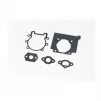 Прокладки двигуна, к-кт 5 деталей OLEO MAC SPARTA 37/38/42/44 (на блістері), ТРИМЕР, YQ-213742 - 1