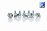 Болти кріплення передньої зірки Delta "LIPAI" [10шт], QT-008491