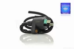 Катушка зажигания DIO, GY6 "TERRI" , QT-024594