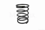Пружина щеки сцепления TORNADO-250 (D-67/L-92), QT-031542