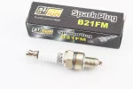 Свеча 4Т B21FM - M10 L12 - JH/GY6, FIX-203903