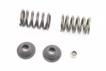 Клапанный механизм к-кт 5шт 186F/188F/190F/192F (пружина-2шт, + компенсатор клапана-1шт, + тарелка клапана-2шт), FIX-602800