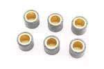 Ролики вариатора 6шт, 25x22,2 - 28г, Тайвань, FIX-336023