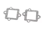 Прокладка клапана лепесткового Suzuki AD110, к-кт 2шт, FIX-210455