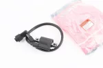 V200-F2 V250-F2 Котушка запалювання зі свічником, FIX-207997