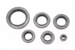 Сальники к-кт 6шт (6,5x14,5x7; 14x28x7; 16x28x7; 20x34x7; 22x35x7; 34x50x7) двигателя, CB/CG-150cc, FIX-508116