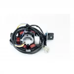 Статор магнето (генератора) Honda LEAD-90 (6 катушек разъем "мама 3+1"), YQ-308408