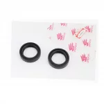 Сальник (31x43x10,5) к-кт 2шт, вилки передней, RACE, YQ-314388