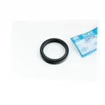 Сальник (43x53x8/10,5) вилки передней, Terra-X 250 (2015), GEON, YQ-359413