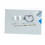 Ремонтный комплект карбюратора 50-80cc, 18 деталей+поплавок, 50-100сс 4Т, YQ-349358