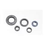 Сальники к-кт 5шт (10x18x6; 12x18x5; 12x21x4; 20x30x4,5; 20x38x5) двигателя, YBR125, YQ-506033