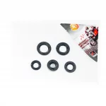 Сальники к-кт 5шт (11,6x24x10; 12x21x4; 13,7x24x5; 17x29x5; 18,9x30x5) двигателя, 70cc, DELTA, YQ-338729