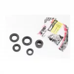 Сальники к-кт 5шт (11,6x24x10; 12x21x4; 13,7x24x5; 17x29x5; 18,9x30x5) двигателя, 70cc, DELTA, YQ-318015