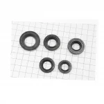 Сальники к-кт 5шт (12x22x5; 14x28x7; 15x25x5; 16x28x7; 20x34x7) двигателя, CB-200cc, Viper-125-150J, YQ-321249