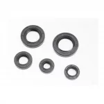 Сальники к-кт 5шт (12x24x7; 14x24x7; 17x29x8; 25x40x8; 26x42x8) двигателя, 2Т-ЛАНЦЮГ, YQ-311057