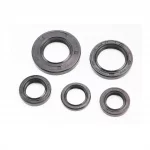 Сальники к-кт 5шт (15x25x5; 17x25x4; 17x27x6; 24x43x6; 25x37x6) двигателя, Suzuki Sepia, YQ-331152