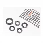 Сальники к-кт 5шт (16,4x30x5; 17x30x5; 19,8x30x5; 20x32x6; 27x42x7) двигателя, 50-100сс 4Т, YQ-309783