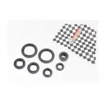 Сальники к-кт 6шт (11,6x24x10; 12x21x4; 13,7x24x5; 17x29x5; 18,9x30x5; 30x42x4,5) двигуна, 70cc, DELTA, YQ-338161