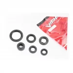 Сальники к-кт 6шт (11,6x24x10; 12x21x4; 13,7x24x5; 17x29x5; 18,9x30x5; 30x42x4,5) двигуна, 70cc, DELTA, YQ-318248