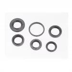 Сальники к-кт 6шт (17x28x5,5; 19x26x5; 20x30x7; 20x38x5; 22x32x5,5; 34x39x3) двигателя, TB60, 2Т-ЛАНЦЮГ, YQ-311161