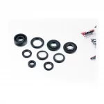 Сальники к-кт 9шт (17x30x7/10; 23x36,5x6-2шт; 25x52x7/10-2шт; 25x52x19,5; 34x43,4x5/8-2шт; 36x52x8) Планета, ІЖ, YQ-342211