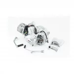 Двигатель мопедный в сборе 110куб (Active)-"автомат", ДВИГУН, YQ-307010