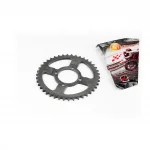 Звезда задняя JH-428-42T-d-54; 4отв.*70мм, DELTA, YQ-357608