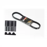 Ремінь 842x20, Тайвань, 125-150сс 4Т, YQ-310358