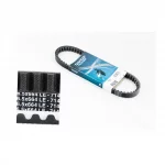 Ремень 664х16,5 Honda TACT50 (оригинал)(DY7142), YQ-339469