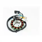 Статор магнето (генератора) (12 катушек "5 проводов") ADVANCE NB300-F, CB125-300, YQ-361155