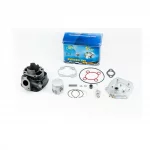 Цилиндр к-кт (цпг) Minarelly AM6 (поршень 47мм, палец 10мм)+головка, водяное охлаждение, ЄВРОПА, YQ-333050