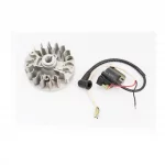 Ротор магнето 139F-4T + катушка зажигания, к-кт, ТРИМЕР, YQ-213148