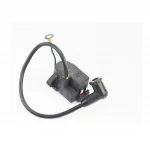 Катушка зажигания 3WB-900, Мотообприскувач, YQ-208055