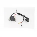 Катушка зажигания 1E36F, Мотообприскувач, YQ-202193