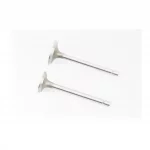 Клапана впускной (H-79,8; D-30,5; d-6), выпускной (H-79,8; D-25,5; d-6) к-кт 2шт 178F, D178/186F, YQ-602058