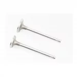 Клапана впускной (H-120; D-42; d-8,9), выпускной (H-120; D-36; d-8,9) к-кт ZS1100, D(ZS1100), YQ-610012