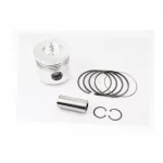 Поршень к-кт ZS1100 100мм STD (форкамера "Конус"), D(ZS1100), YQ-610049