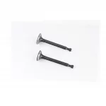 Клапана впускной (H-62,5; D-21; d-5,45), выпускной (H-63; D-19; d-5,45) к-кт 2шт 156F/1P65F, D168F, YQ-621019