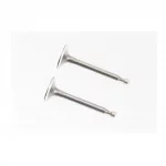 Клапана впускной (H-64; D-25; d-5,45), выпускной (H-62; D-24; d-5,45) к-кт 2шт 168F, D168F, YQ-601018