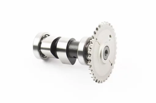 Распредвал+подшипники+шестерня 250cc тип 1, 250сс СКУТЕР, YQ-313053