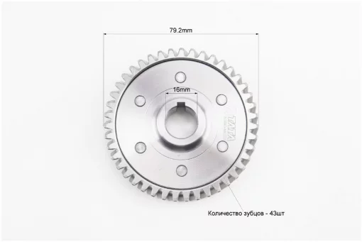 Шестерня балансувального валу 43 зуб. CBВ-250cc, CB125-300, YQ-356149