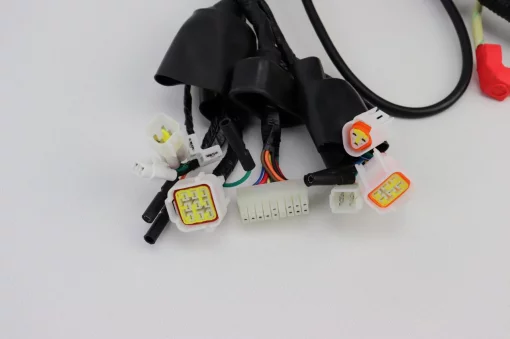 X-Road 250 Проводка центральная, GEON, YQ-359081