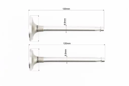 Клапани впускний (H-120; D-42; d-8,9), випускний (H-120; D-36; d-8,9) к-кт ZS1100, D(ZS1100), YQ-610012